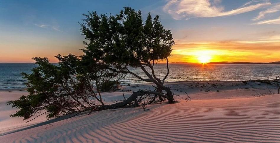 Case Vacanze "Bianco Mare" Порто Пино Екстериор снимка